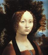  Leonardo  Da Vinci Portrait of Ginerva de'Benci France oil painting artist
